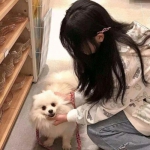 醉赤壁破解版无限元宝下载